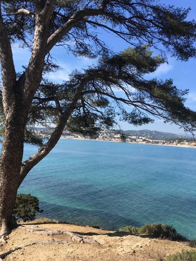 Les Galets De Sanary - Vue Mer Luaran gambar